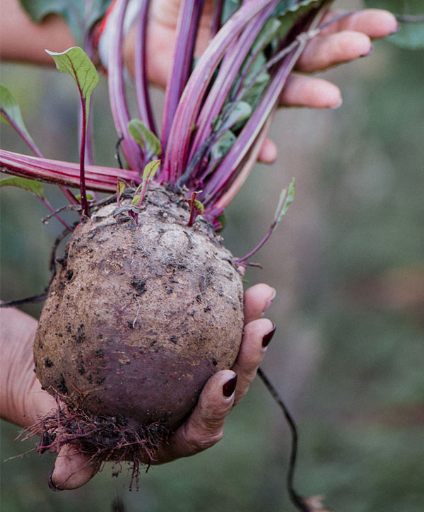 produce-11