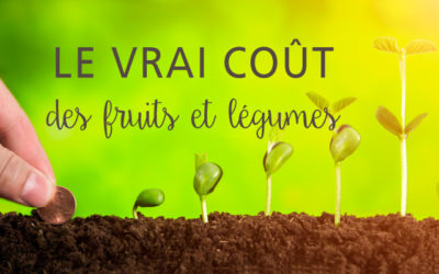 Le vrai coût des fruits et légumes