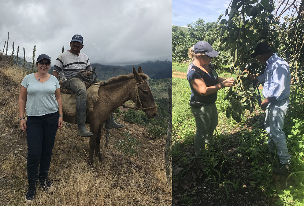 En République Dominicaine sur le terrain