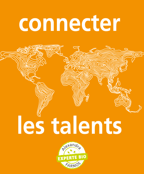 Connecter les talents un savoir-faire d'Alexandra Farnos