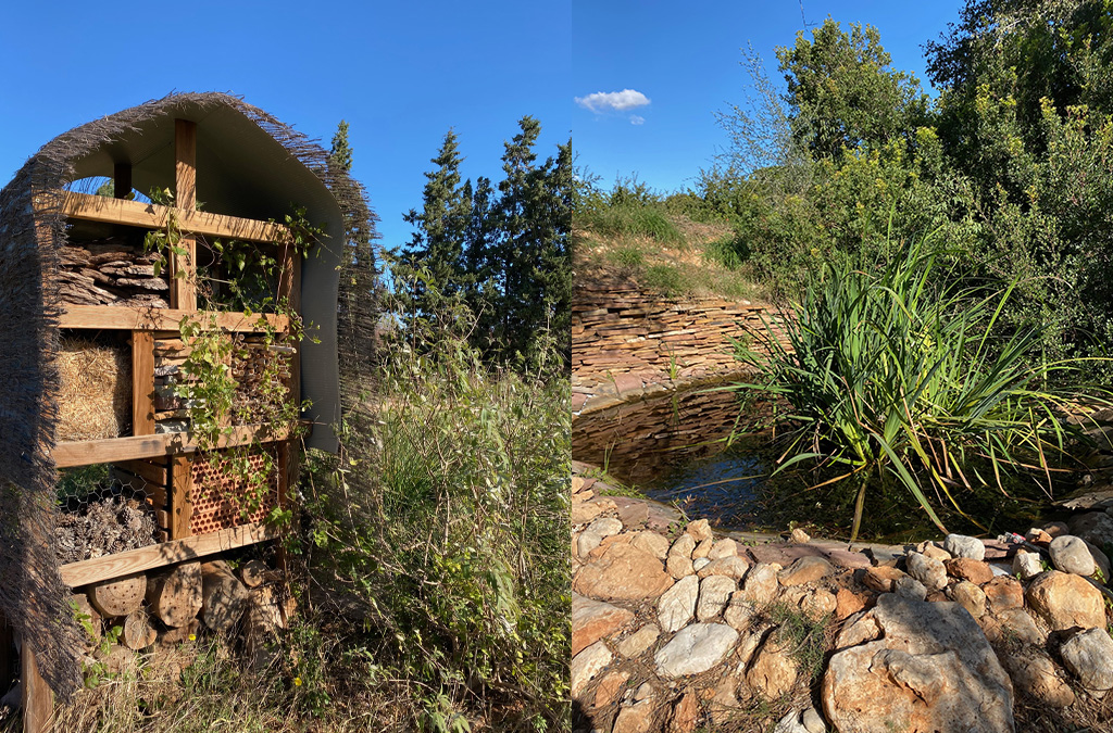 Hotel à insectes et une mare pour les oiseaux à Malaga